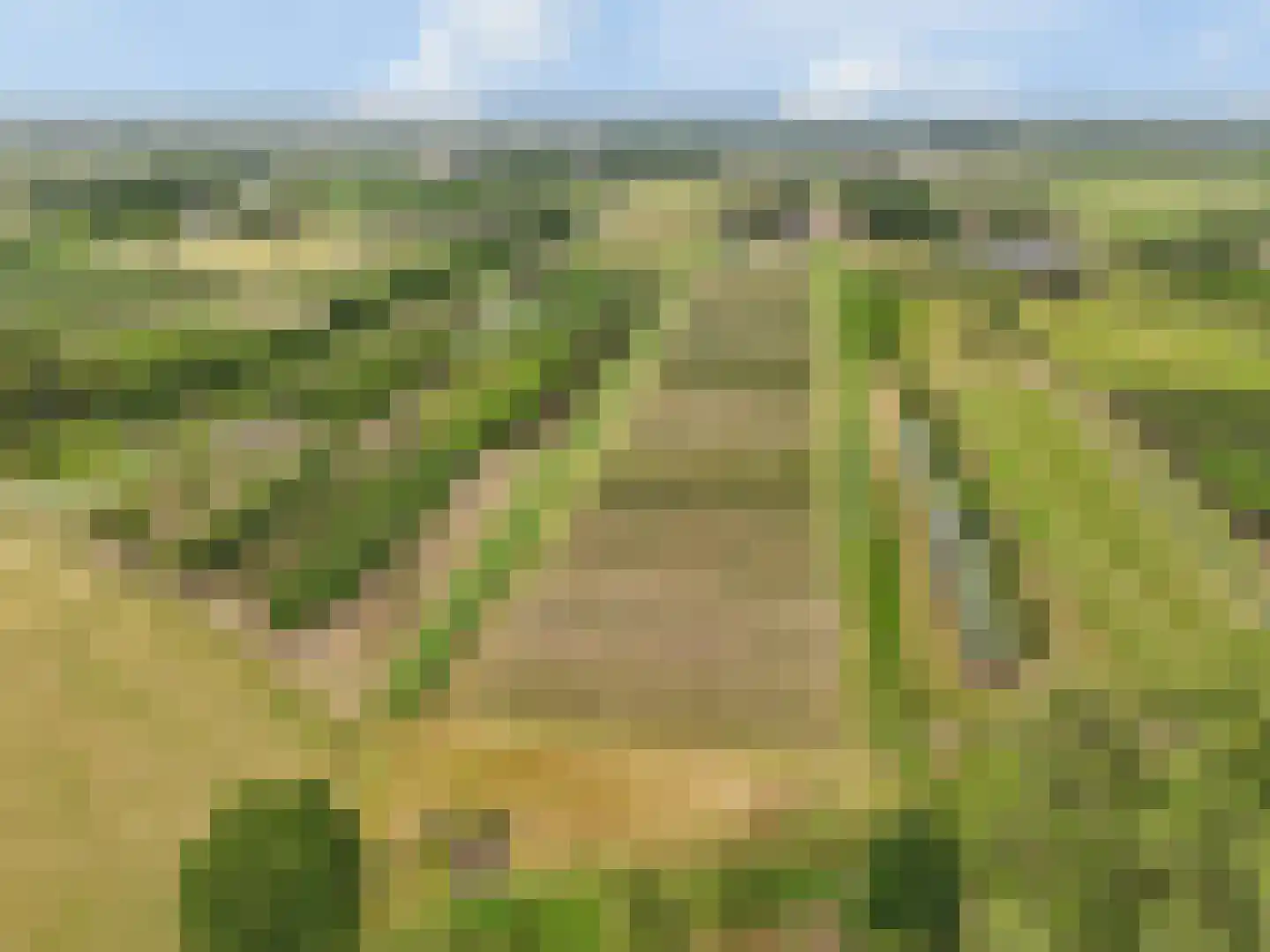 Bonegraafseweg 62 Ochten thumbnail 5