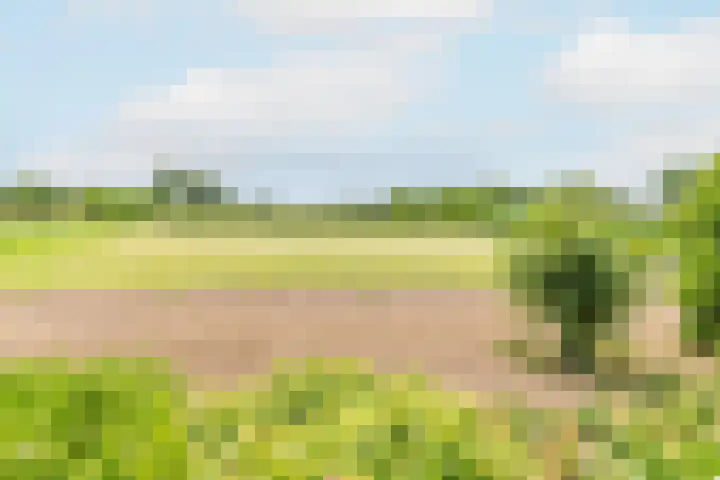Bonegraafseweg 62 Ochten thumbnail 50
