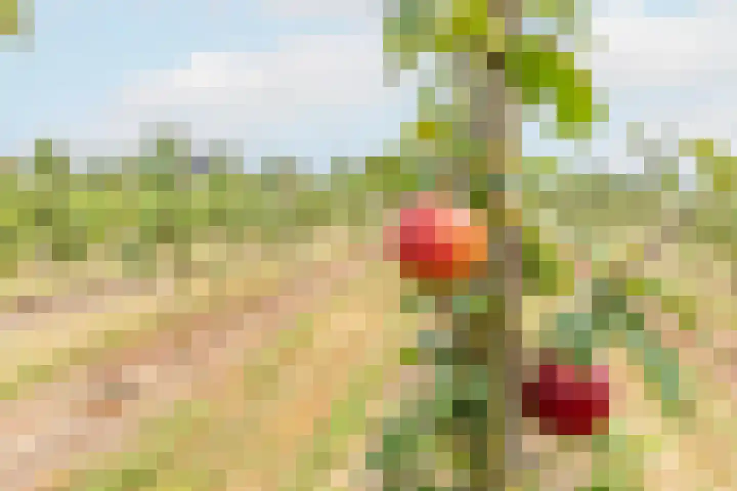 Bonegraafseweg 62 Ochten thumbnail 55