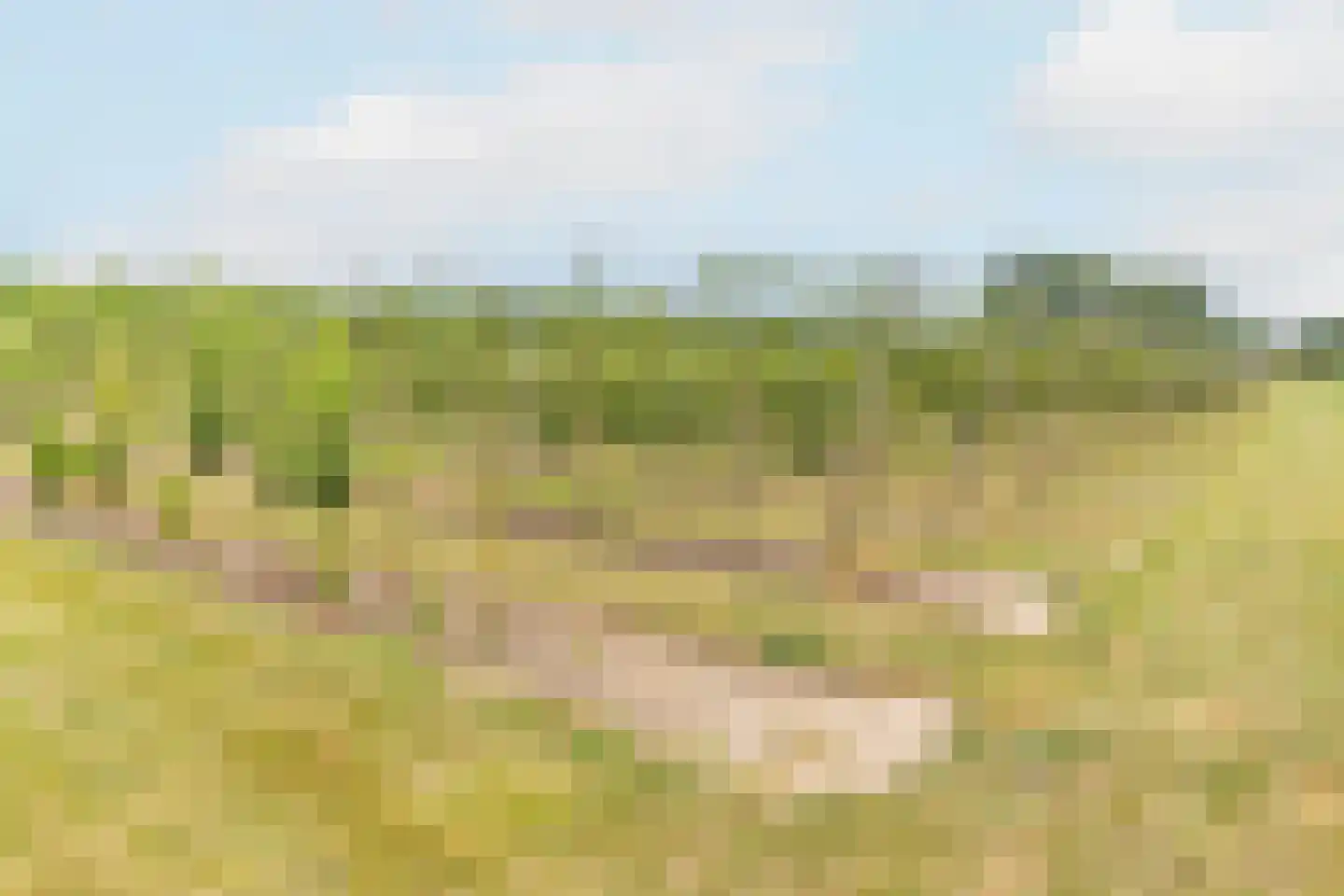 Bonegraafseweg 62 Ochten thumbnail 57