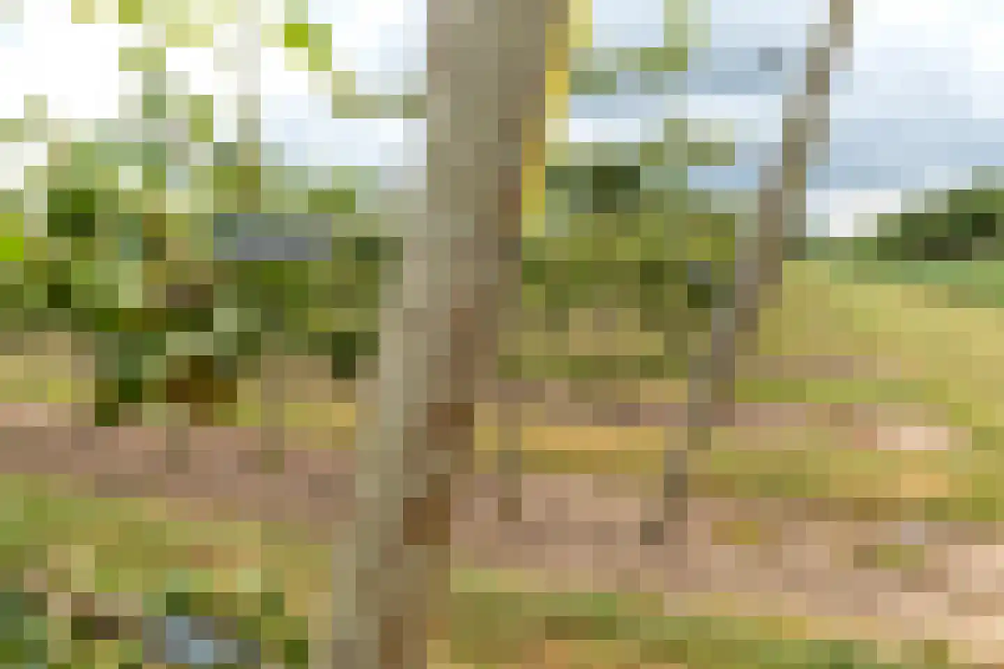Bonegraafseweg 62 Ochten thumbnail 58