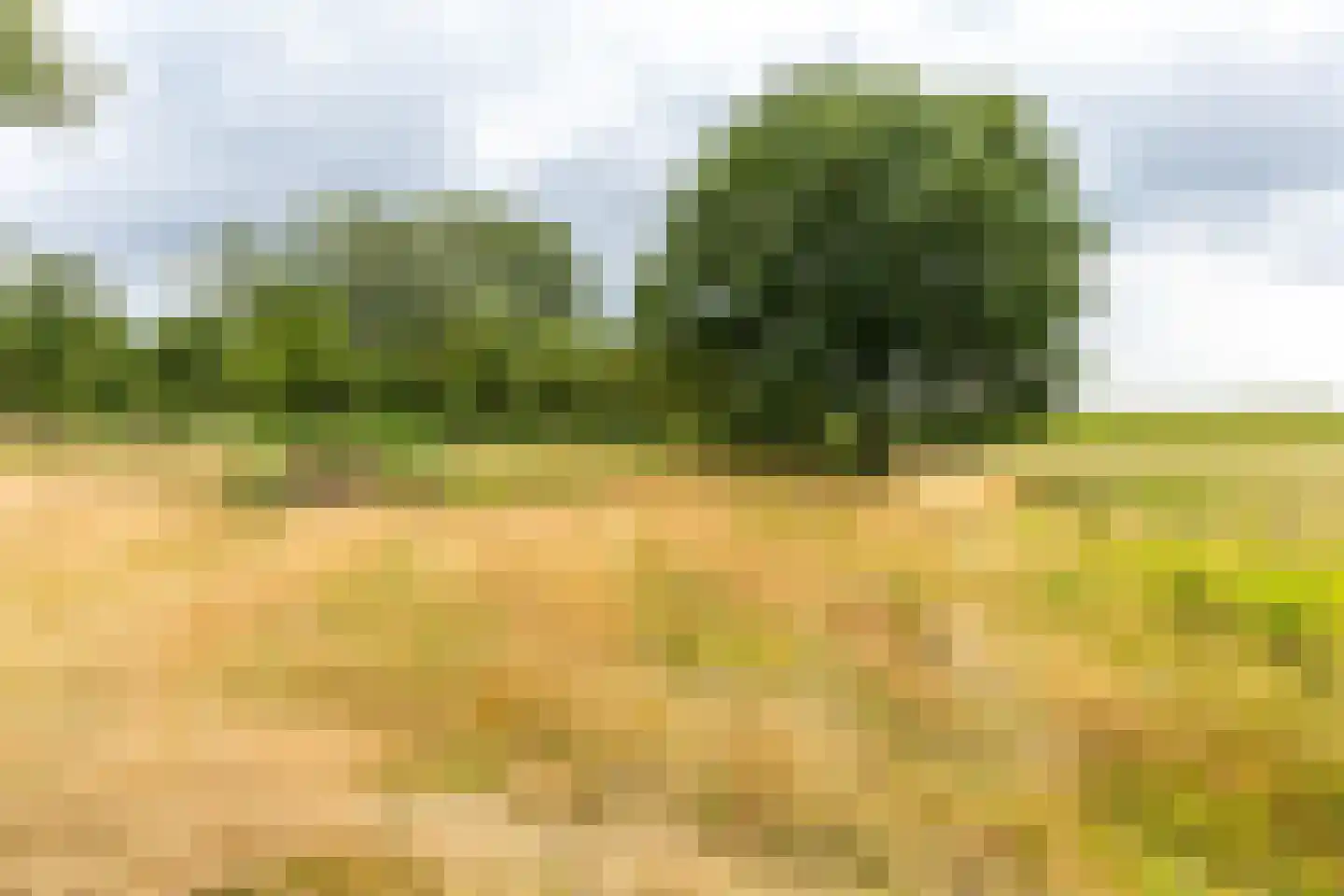 Bonegraafseweg 62 Ochten thumbnail 59