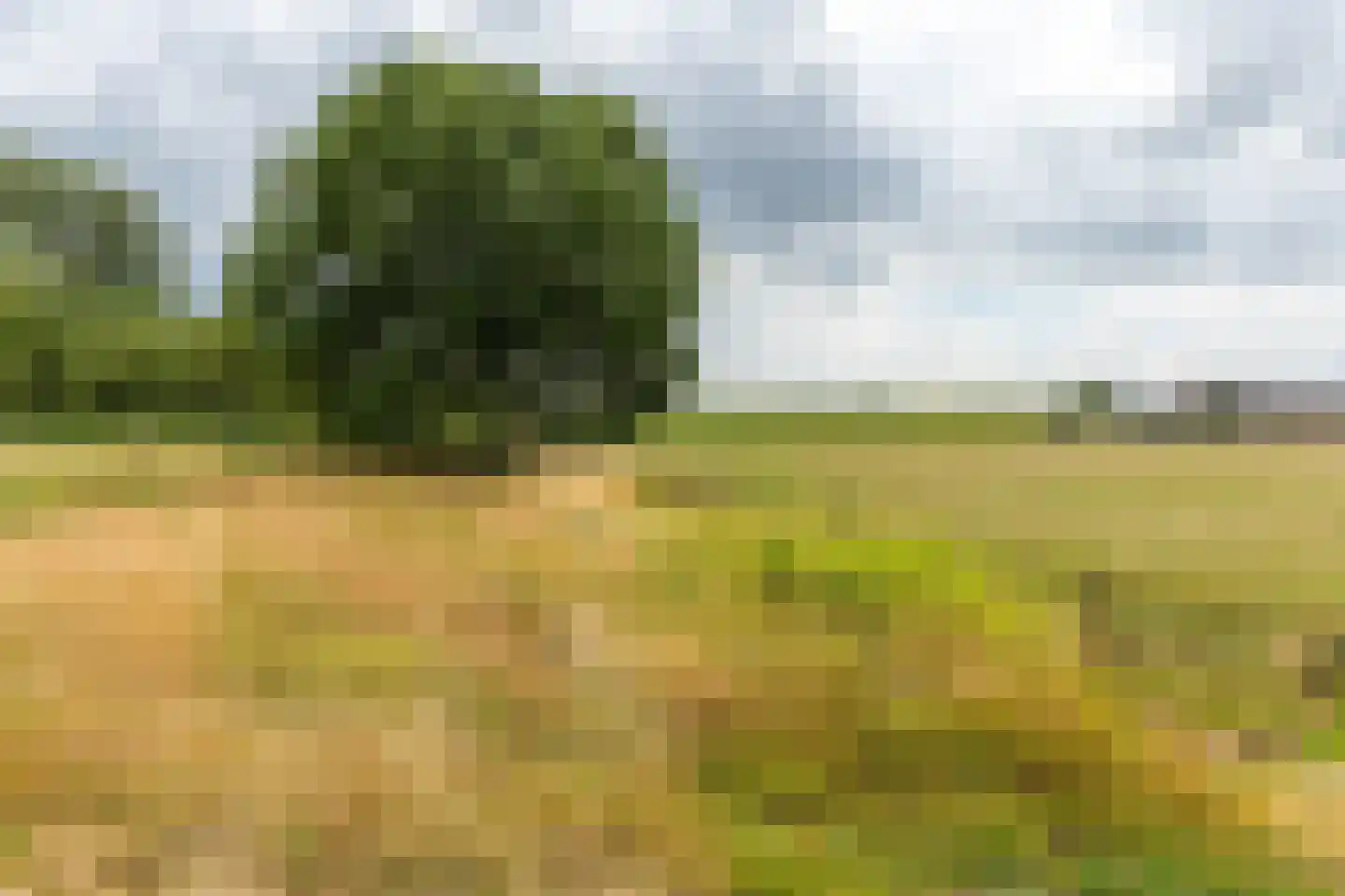 Bonegraafseweg 62 Ochten thumbnail 60