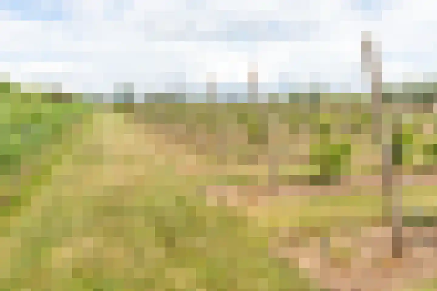 Bonegraafseweg 62 Ochten thumbnail 61