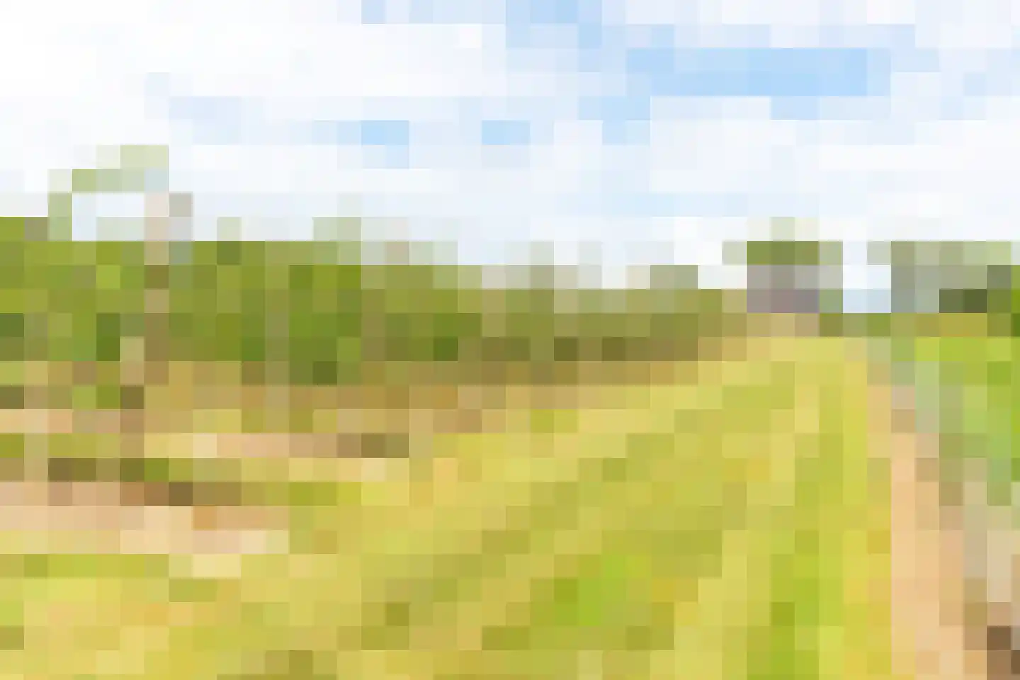 Bonegraafseweg 62 Ochten thumbnail 62