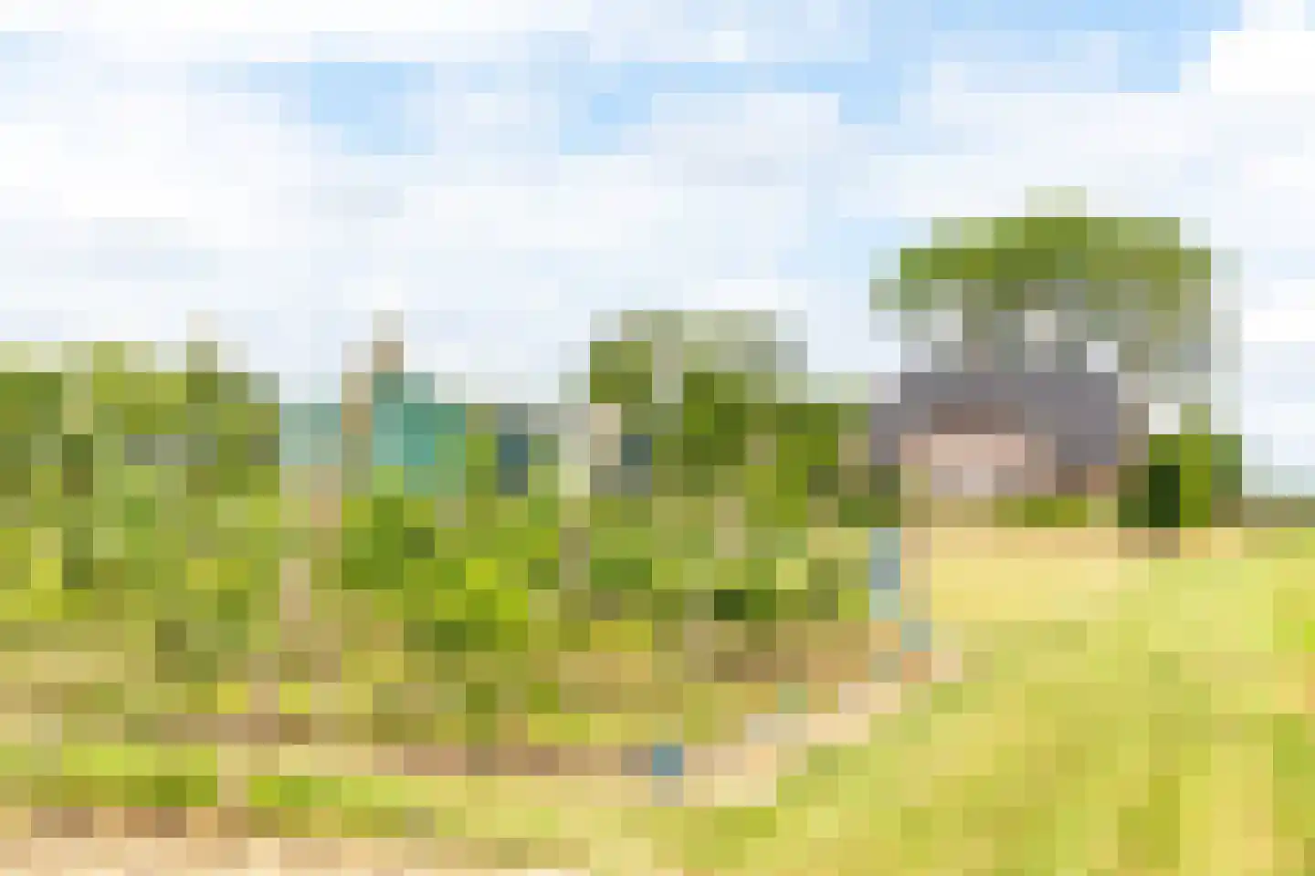 Bonegraafseweg 62 Ochten thumbnail 63