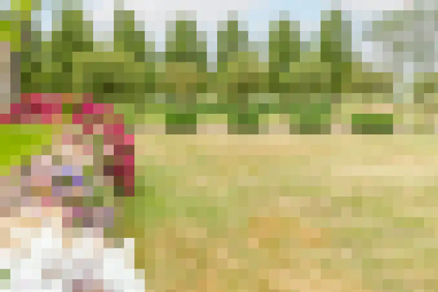 Bonegraafseweg 62 Ochten thumbnail 70