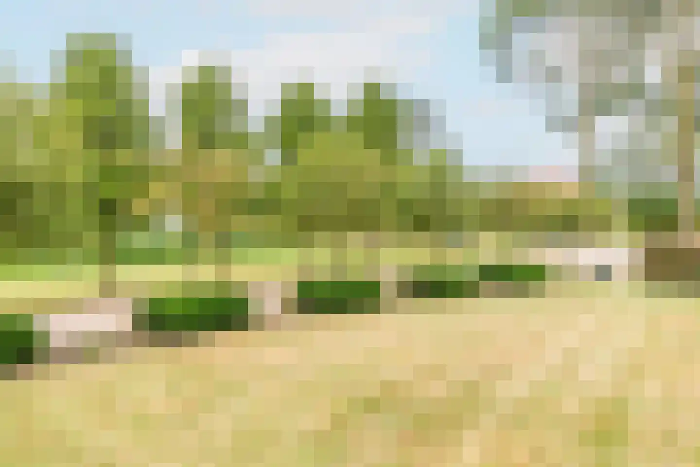 Bonegraafseweg 62 Ochten thumbnail 71