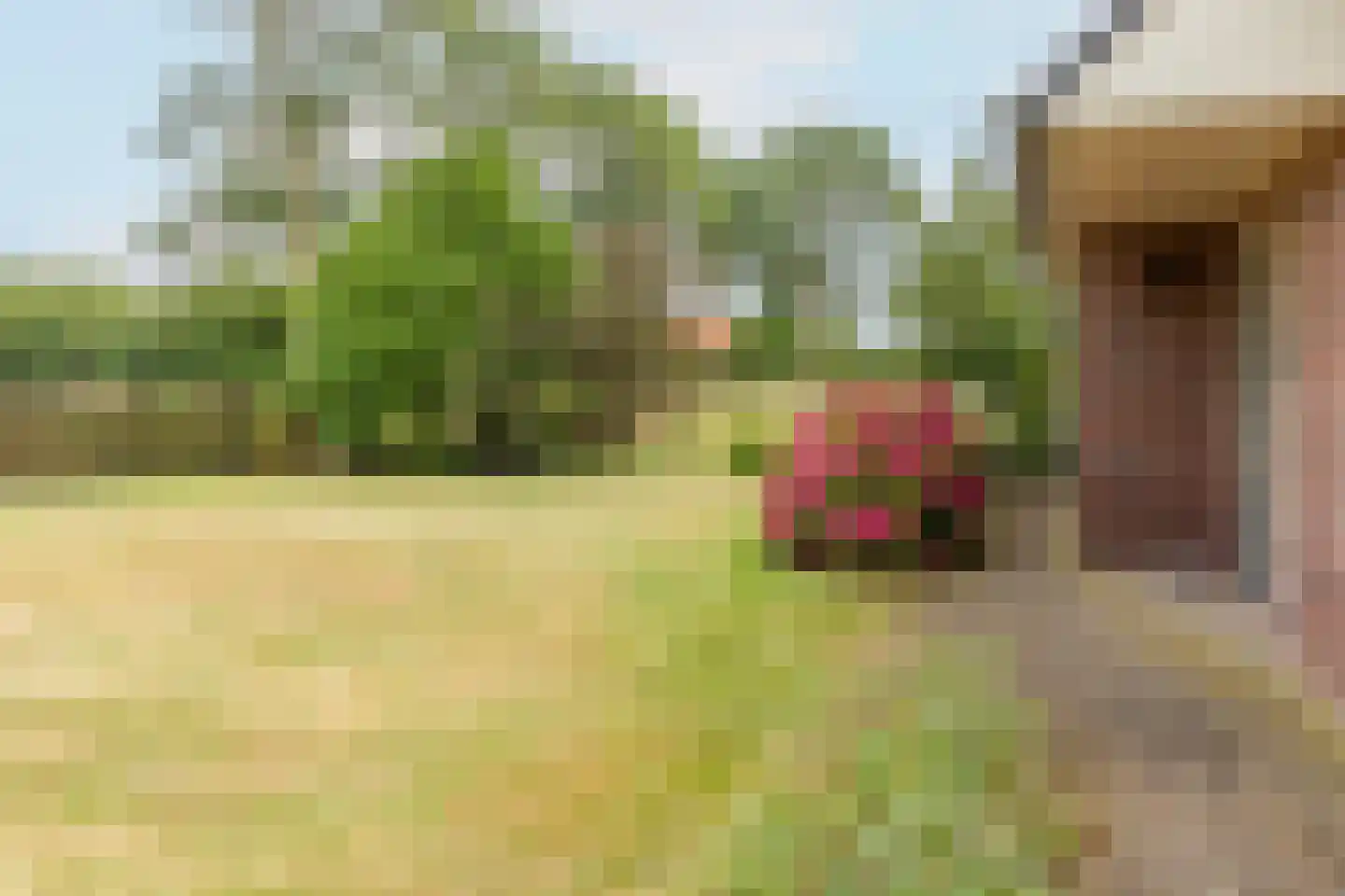 Bonegraafseweg 62 Ochten thumbnail 72