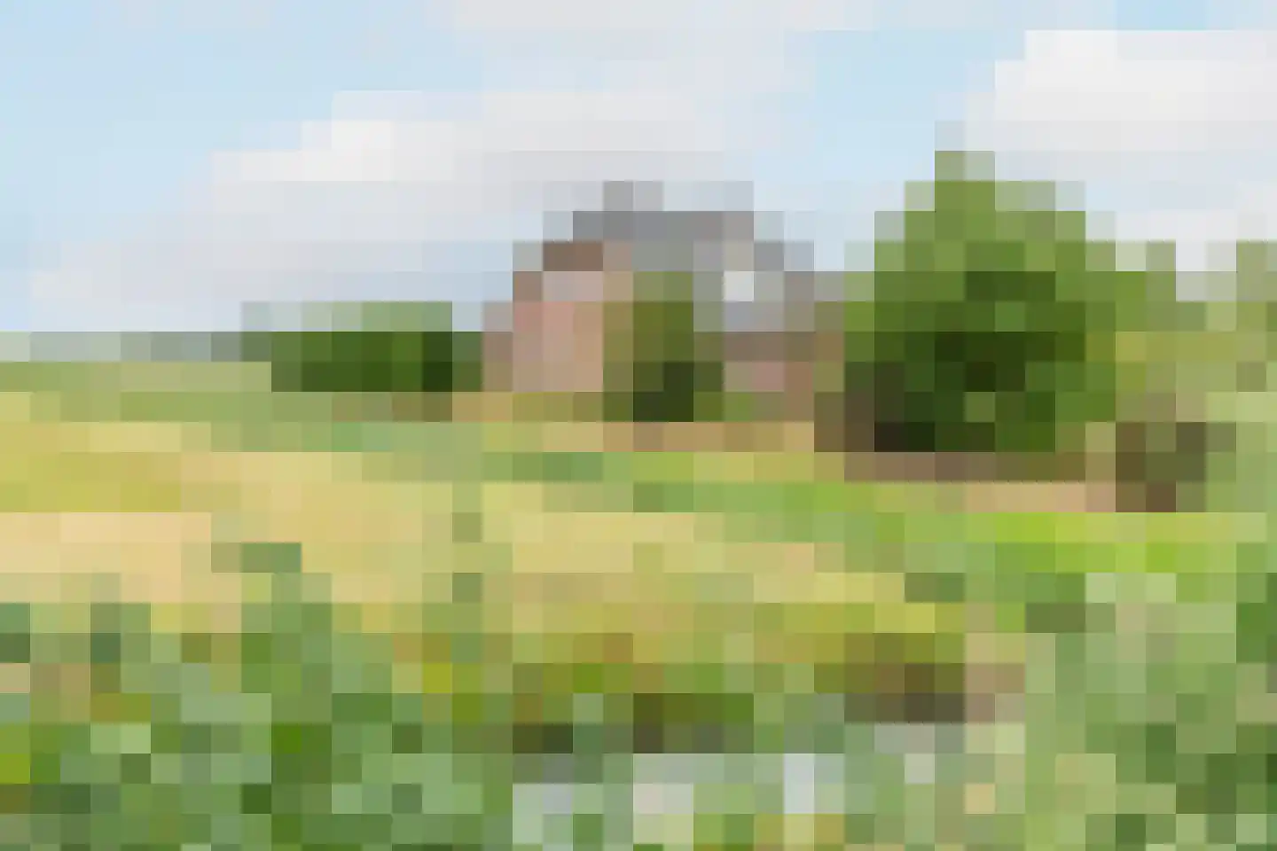 Bonegraafseweg 62 Ochten thumbnail 9