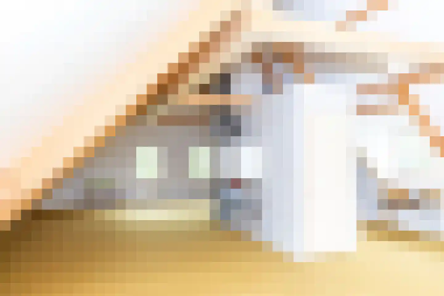 Bonegraafseweg 62 Ochten thumbnail 92
