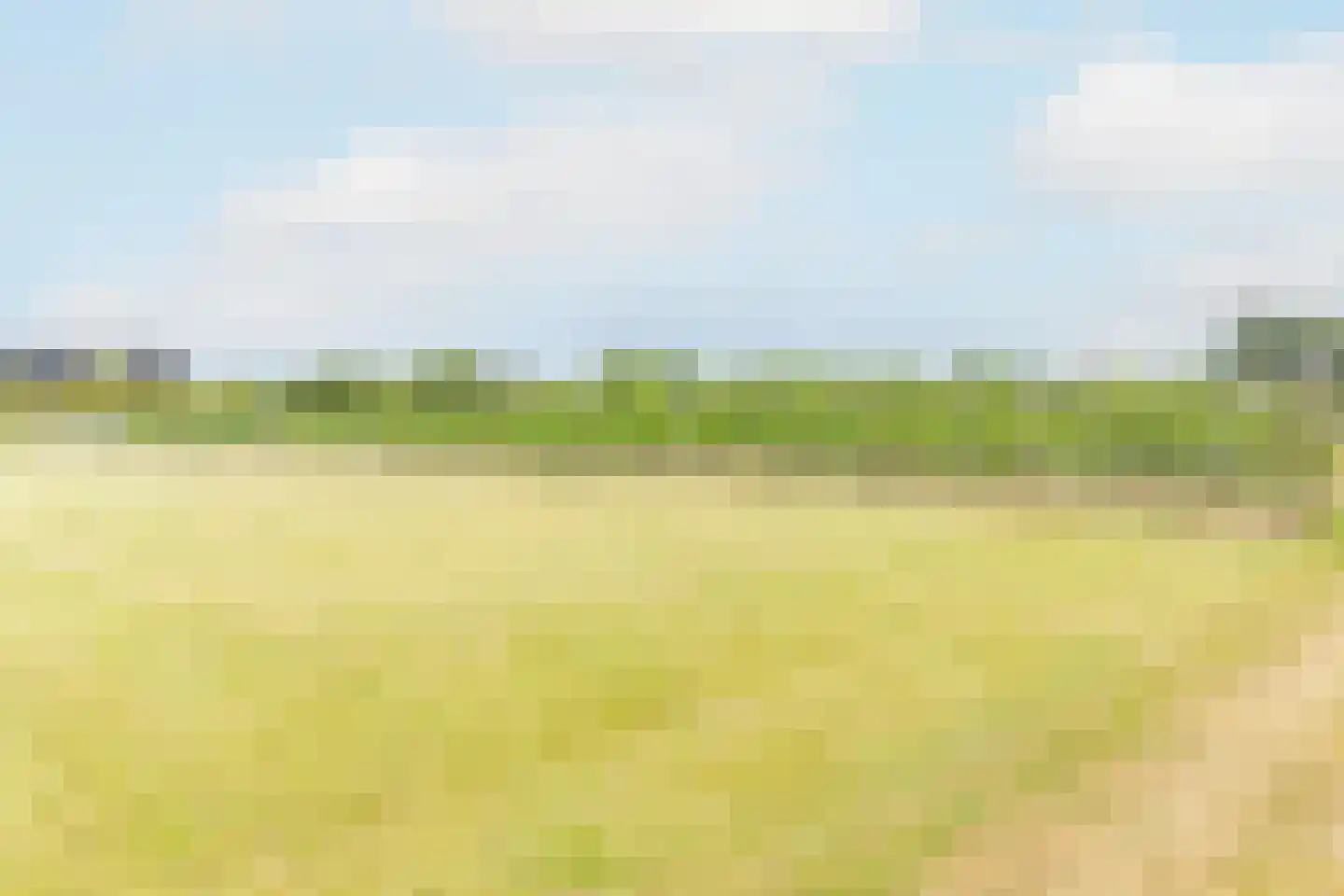 Bonegraafseweg 62 Ochten thumbnail 96