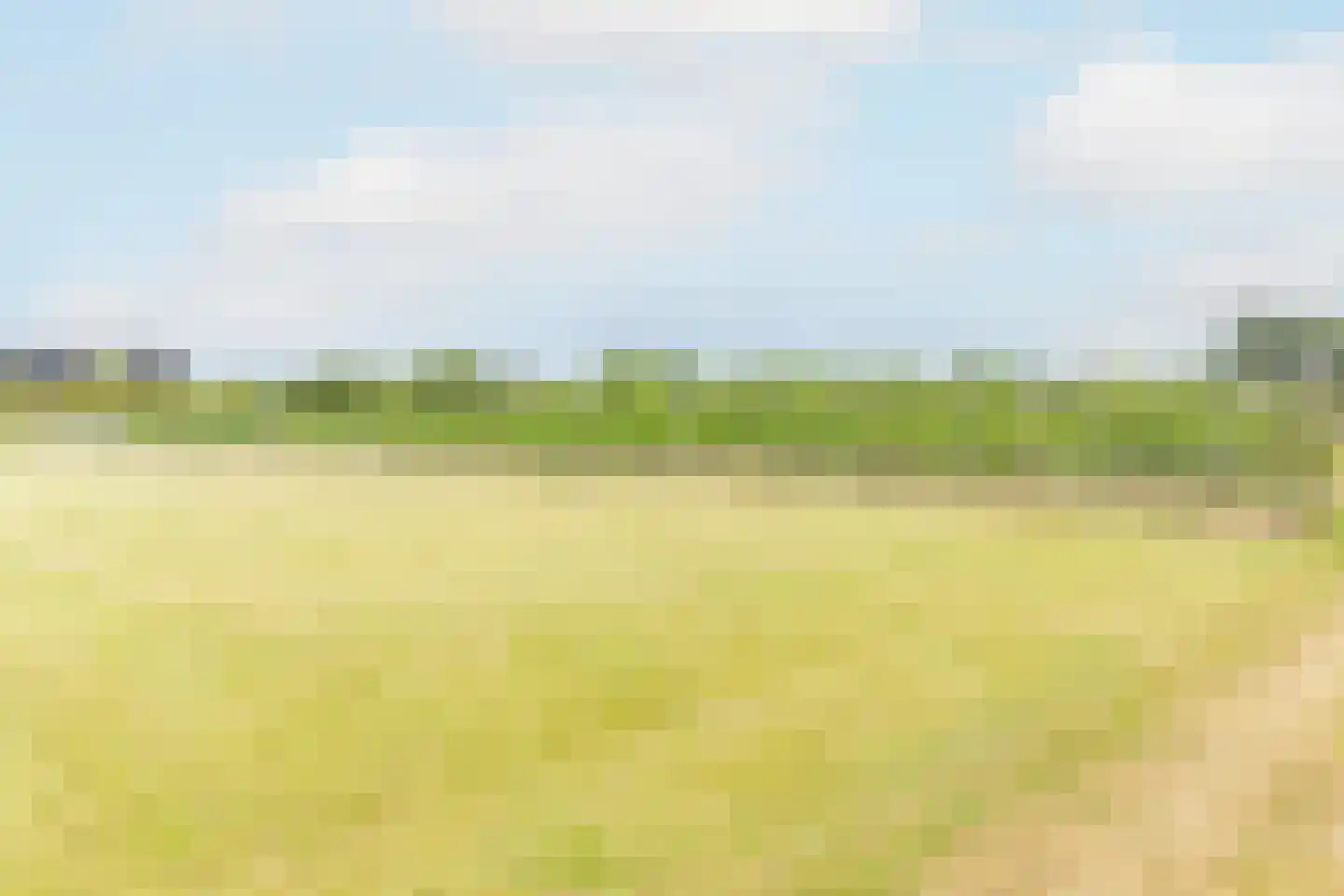 Bonegraafseweg 62 Ochten thumbnail 96