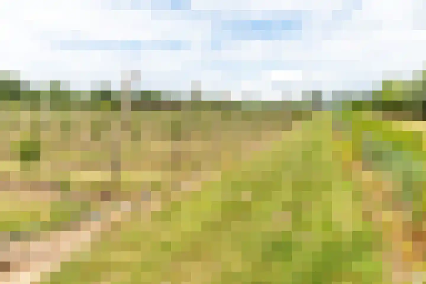 Bonegraafseweg 62 Ochten thumbnail 98