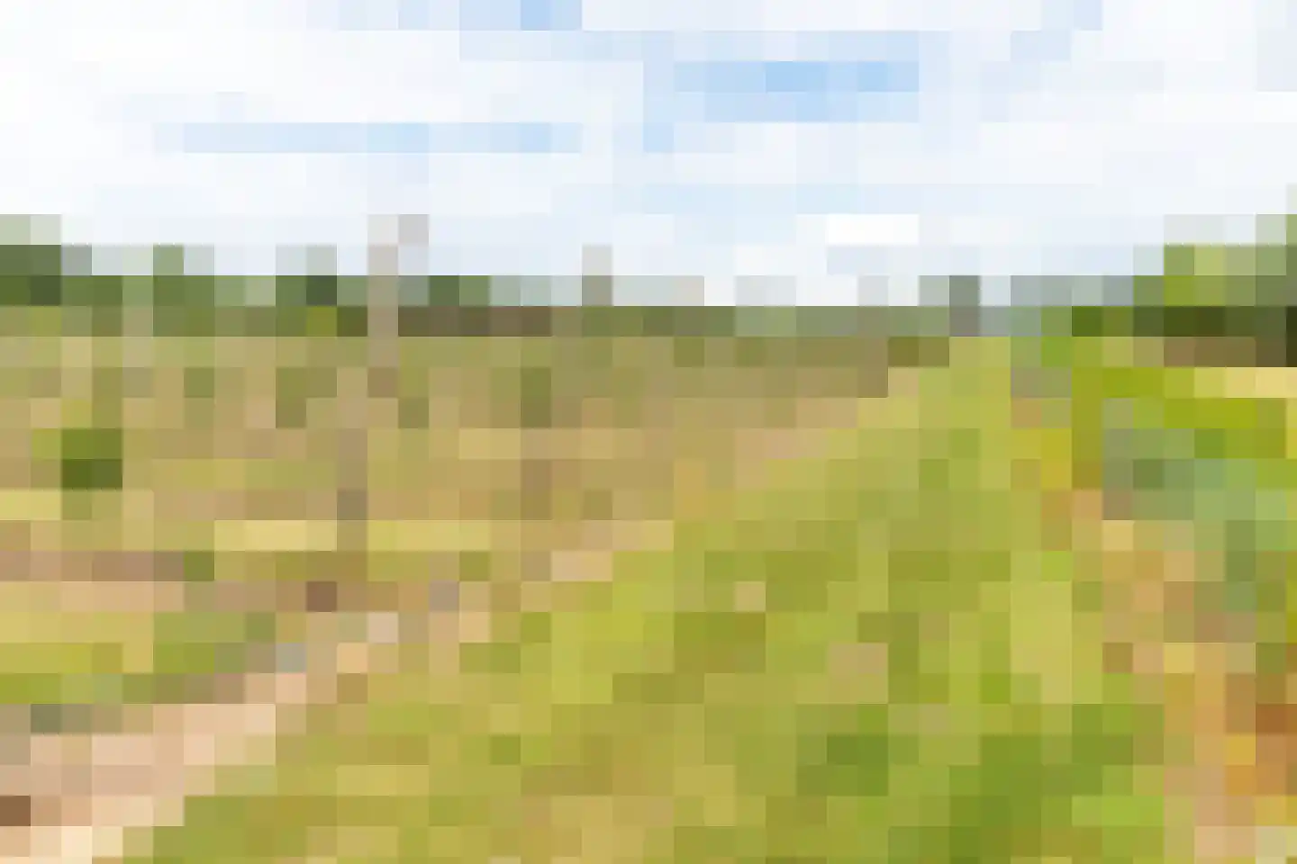 Bonegraafseweg 62 Ochten thumbnail 98