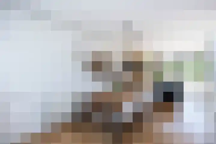 Bonekruidweg 2 Zwolle thumbnail 11