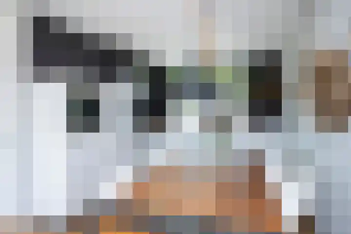Bonekruidweg 2 Zwolle thumbnail 12