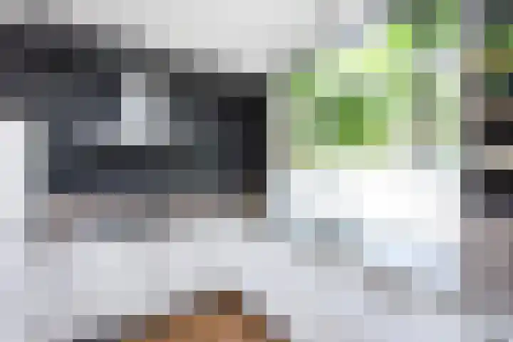 Bonekruidweg 2 Zwolle thumbnail 14