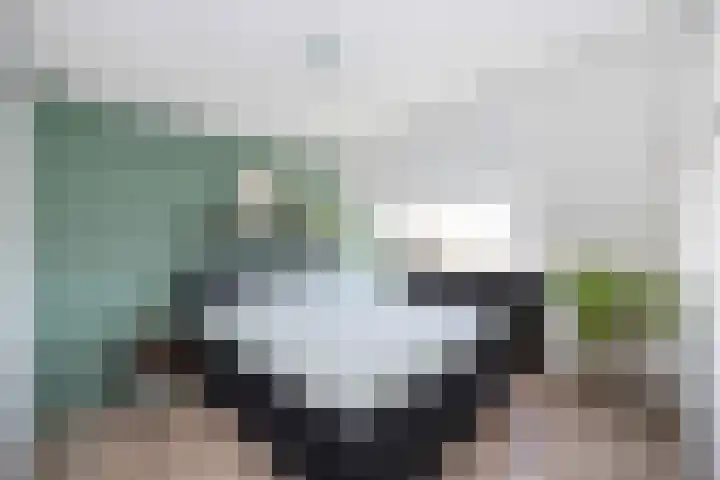 Bonekruidweg 2 Zwolle thumbnail 17