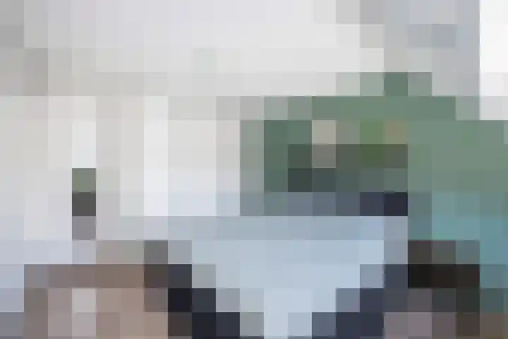 Bonekruidweg 2 Zwolle thumbnail 18