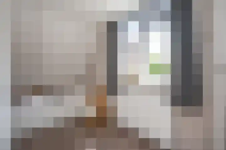Bonekruidweg 2 Zwolle thumbnail 19