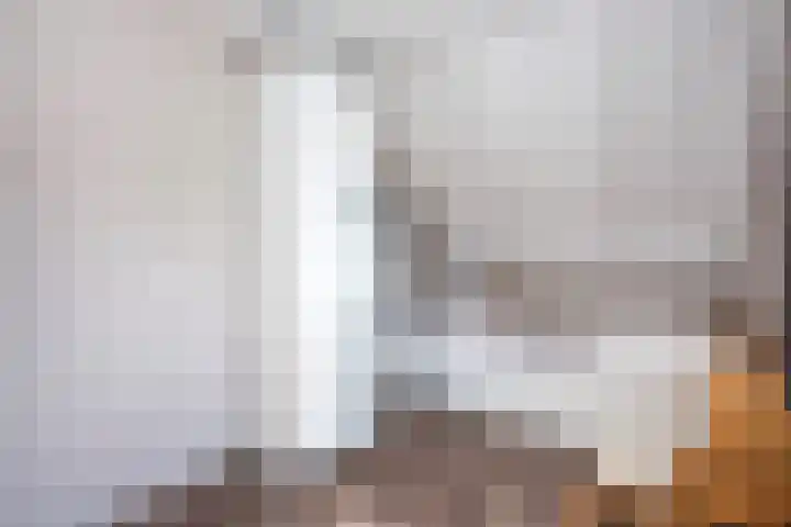 Bonekruidweg 2 Zwolle thumbnail 20
