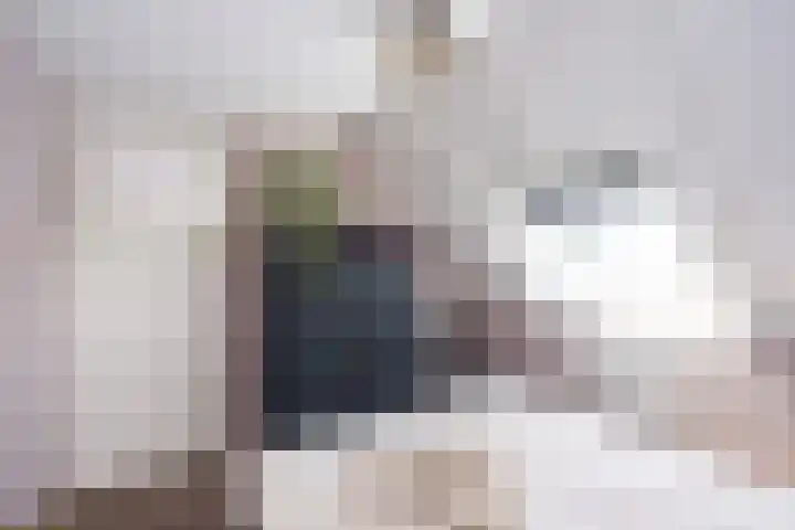 Bonekruidweg 2 Zwolle thumbnail 28