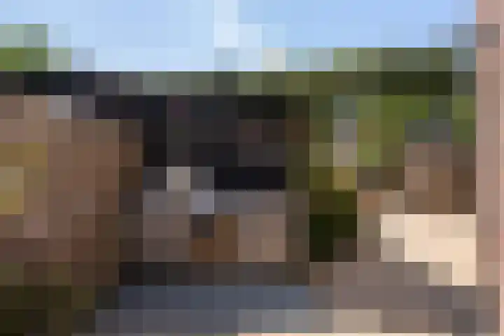 Bonekruidweg 2 Zwolle thumbnail 36