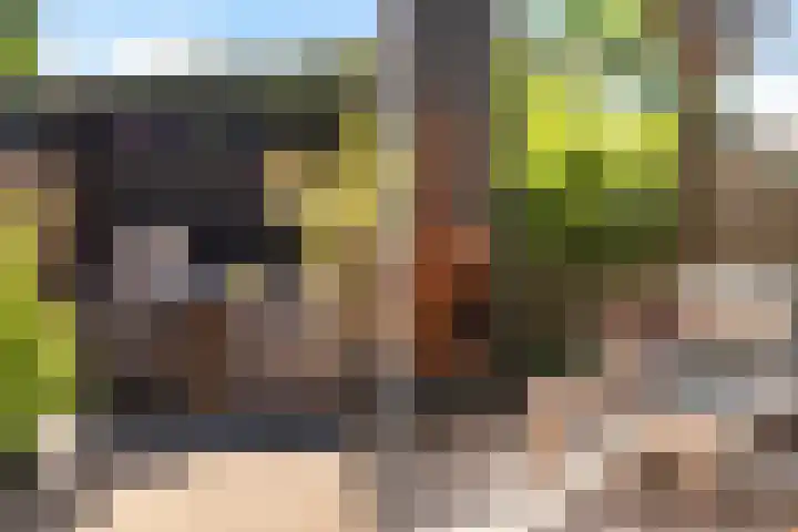 Bonekruidweg 2 Zwolle thumbnail 37