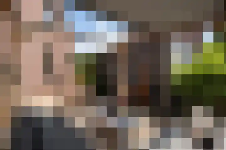 Bonekruidweg 2 Zwolle thumbnail 39