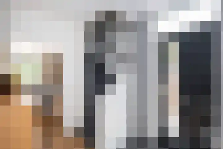 Bonekruidweg 2 Zwolle thumbnail 4