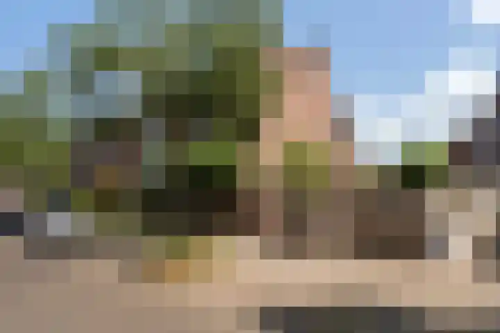 Bonekruidweg 2 Zwolle thumbnail 40