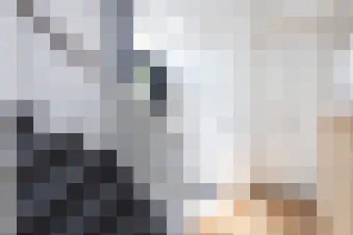 Bonekruidweg 2 Zwolle thumbnail 5