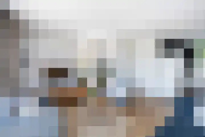 Bonekruidweg 2 Zwolle thumbnail 8