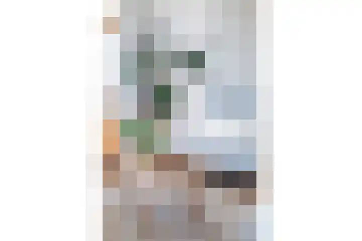 Bonekruidweg 2 Zwolle thumbnail 9
