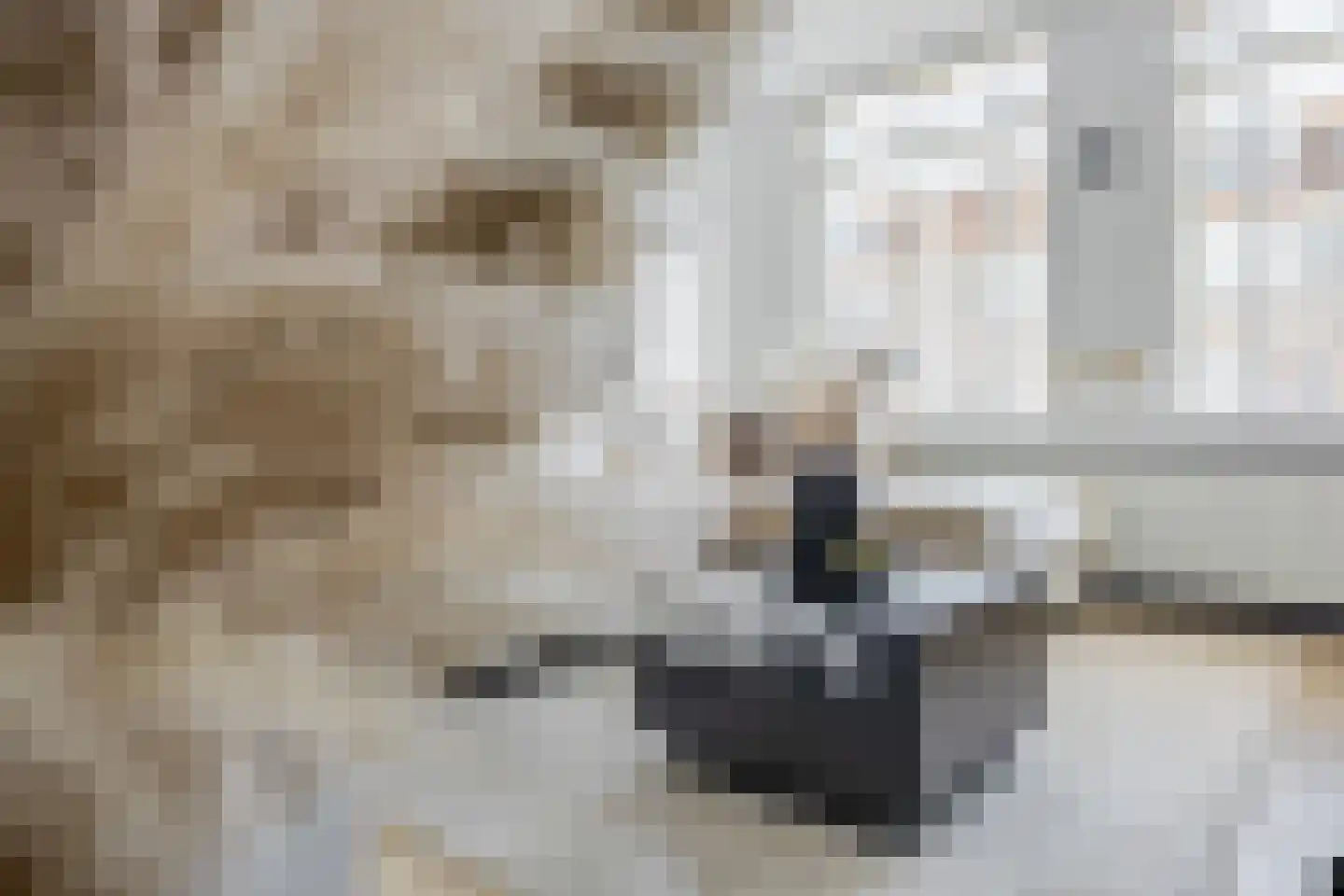 Bonenakker 13 Waddinxveen thumbnail 14
