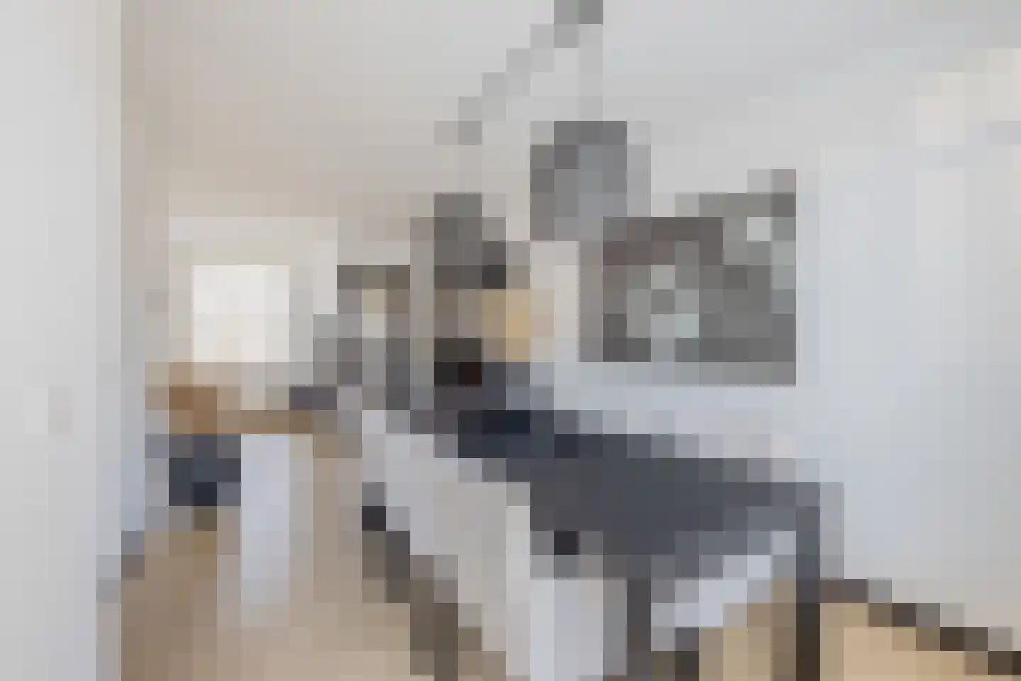 Bonenakker 13 Waddinxveen thumbnail 15