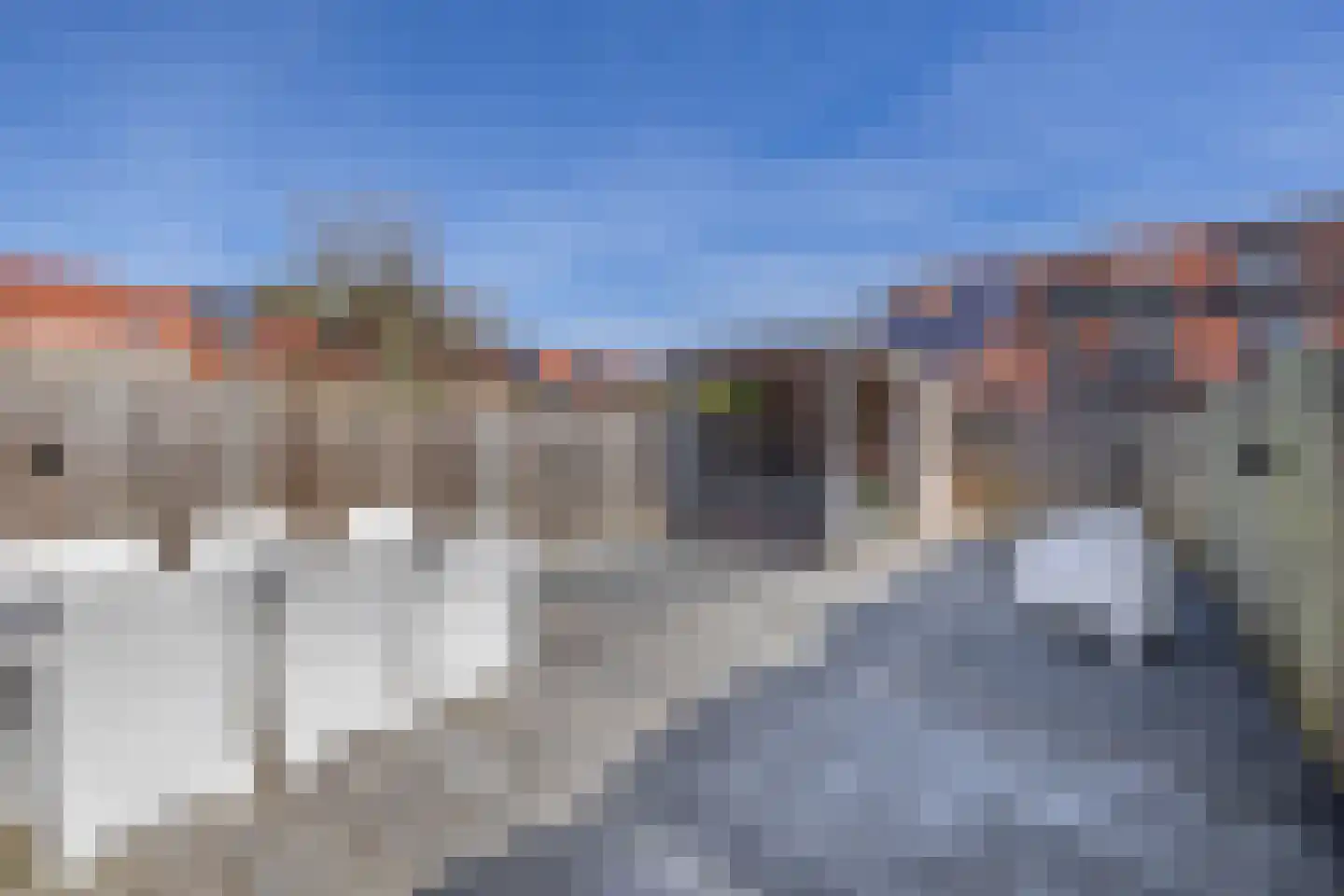 Bonenakker 13 Waddinxveen thumbnail 4