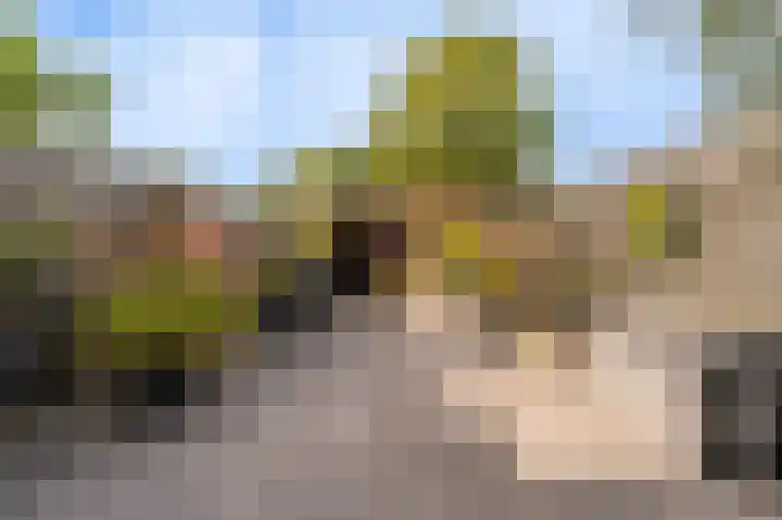 Bonenakker 14 Delfzijl thumbnail 11