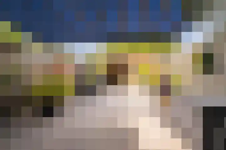 Bonenakker 14 Delfzijl thumbnail 19