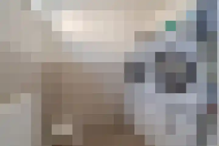 Bonenakker 14 Delfzijl thumbnail 22