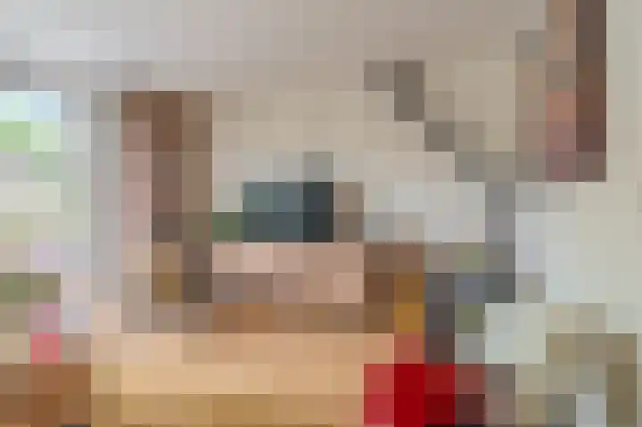 Bonenakker 14 Delfzijl thumbnail 33