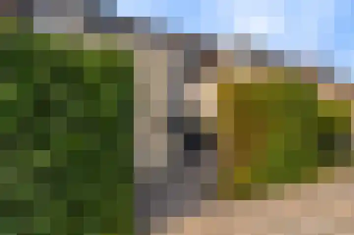 Bonenakker 14 Delfzijl thumbnail 7