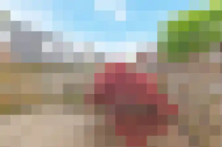 Bonenakker 14 Waddinxveen thumbnail 17
