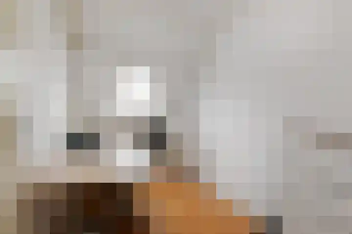 Bonenakker 14 Waddinxveen thumbnail 23