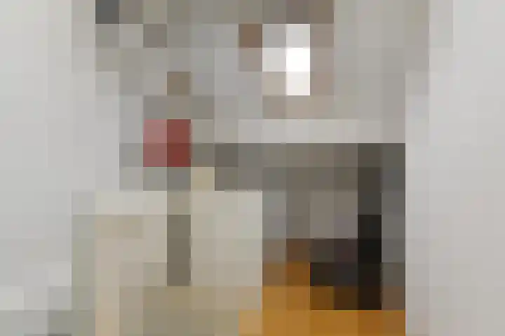 Bonenakker 14 Waddinxveen thumbnail 29