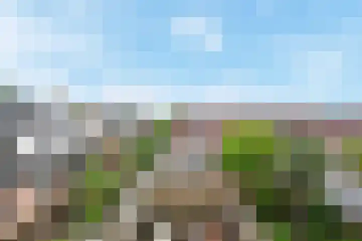 Bonenakker 14 Waddinxveen thumbnail 32