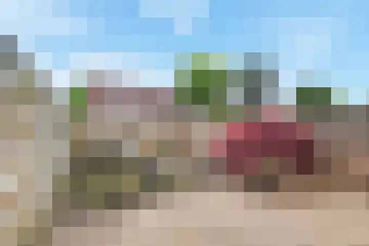 Bonenakker 14 Waddinxveen thumbnail 34