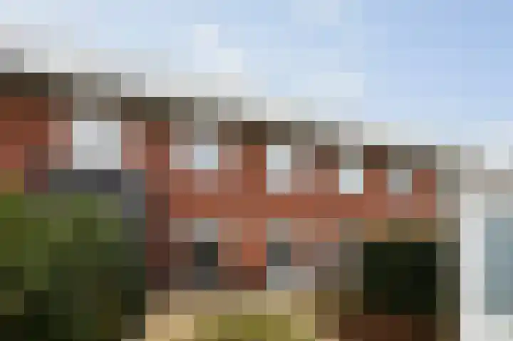 Bonenakker 18 Twello thumbnail 19