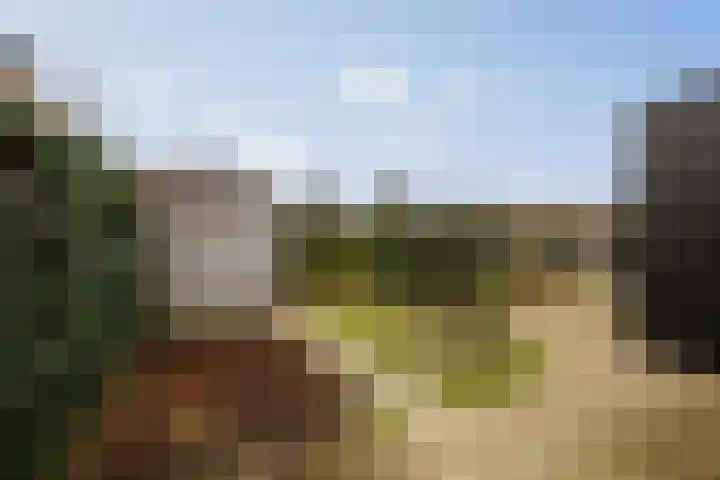 Bonenakker 18 Twello thumbnail 22